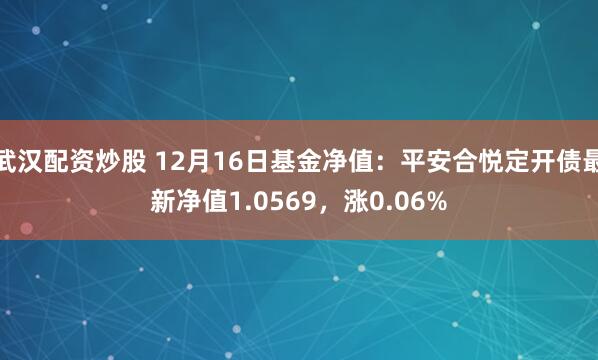 武汉配资炒股 12月16日基金净值:平安合悦定开债最新净值1.0569,涨0.06%