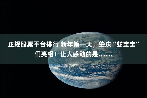 正规股票平台排行 新年第一天，肇庆“蛇宝宝”们亮相！让人感动的是……