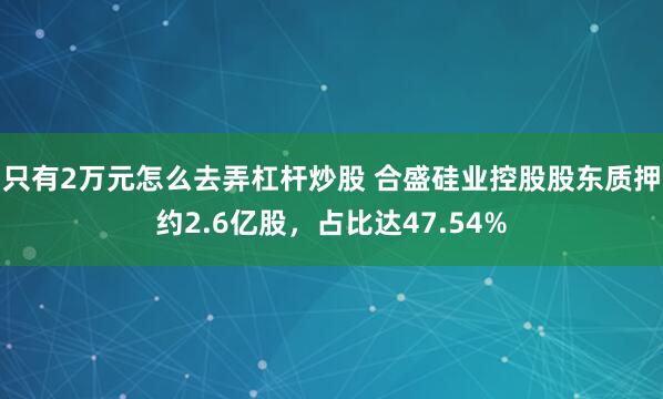 只有2万元怎么去弄杠杆炒股 合盛硅业控股股东质押约2.6亿股，占比达47.54%