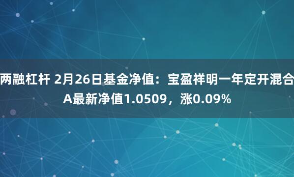 两融杠杆 2月26日基金净值:宝盈祥明一年定开混合A最新净值1.0509,涨0.09%