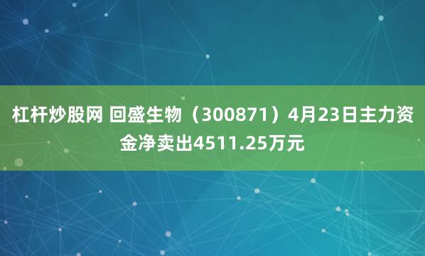 杠杆炒股网 回盛生物(300871)4月23日主力资金净卖出4511.25万元