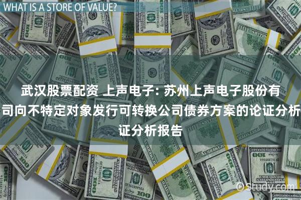 武汉股票配资 上声电子: 苏州上声电子股份有限公司向不特定对象发行可转换公司债券方案的论证分析报告