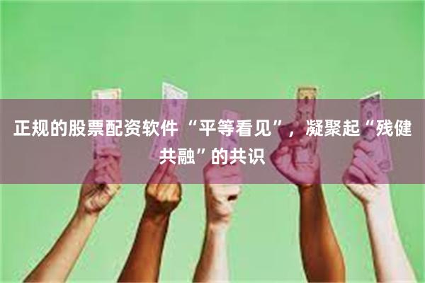 正规的股票配资软件 “平等看见”，凝聚起“残健共融”的共识