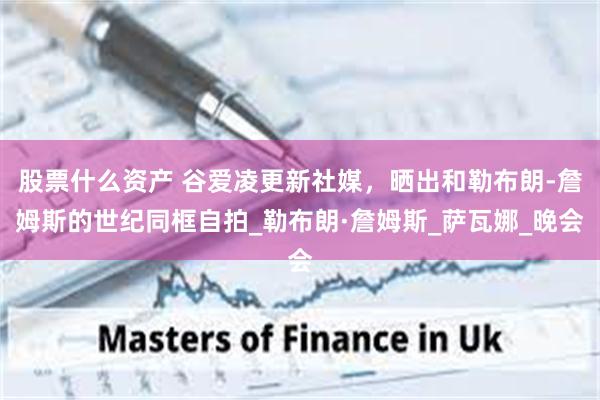 股票什么资产 谷爱凌更新社媒,晒出和勒布朗-詹姆斯的世纪同框自拍_勒布朗·詹姆斯_萨瓦娜_晚会