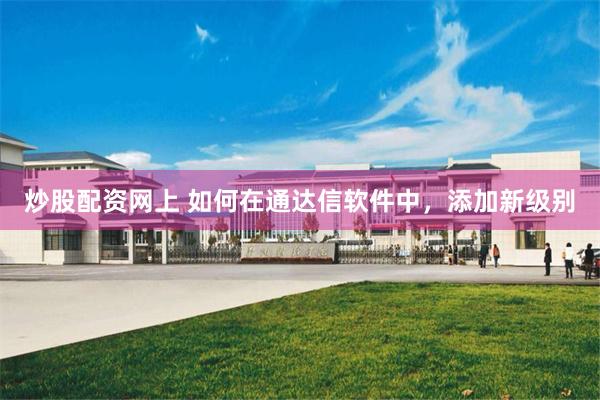 炒股配资网上 如何在通达信软件中，添加新级别